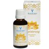 Evolution Seelenheil Essenz 10 Begeisterung 30ml
