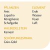 Evolution Seelenheil Essenz 10 Begeisterung 30ml