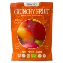 Organica Bio Crunchy Fruit Mango gefriergetrocknet 16g