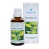 Evolution Brennessel Tinktur 50ml
